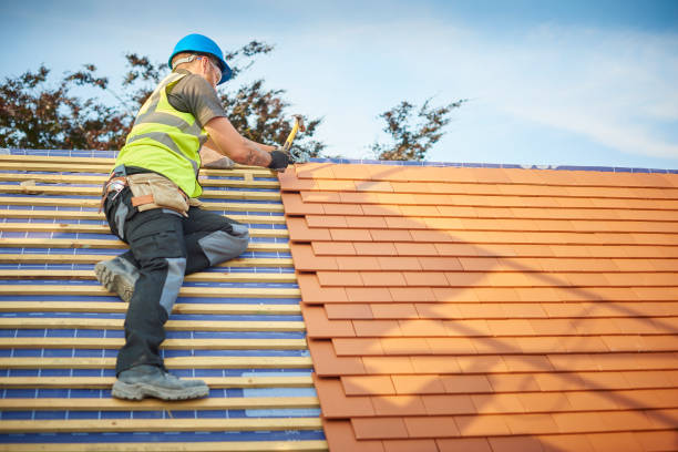 Best Skylight Installation and Repair  in Cary, NC